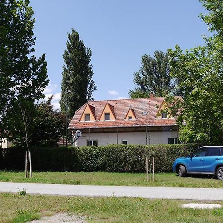 Kisviza Vendeghaz Hotel Baja Bagian luar foto